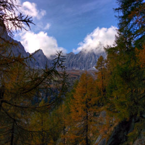 Autunno tra boschi e asini Val Masino