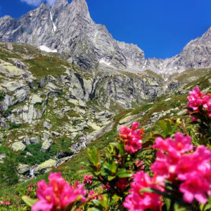 Paesaggi gratuiti in Bassa Valtellina. 5 idee tutte da camminare.